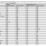 Maternal and Child Health (MCH) Update: States Increase Eligibility for Children’s Health in 2007