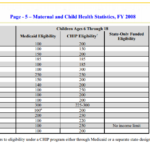 Maternal and Child Health Update 2008