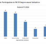 Maternal and Child Health Update: States Are Using Medicaid and CHIP to Improve Health Outcomes for Mothers and Children