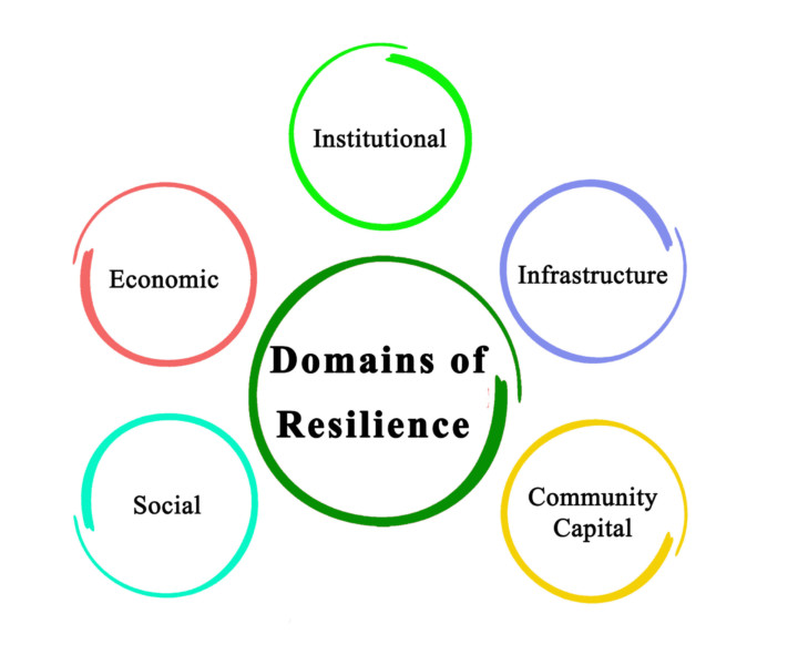 Five Domains of Resilience
