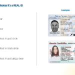 State Organizations Hail Senate Committee Action on Real ID Modernization Act