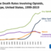 State of the States Opioid Survey and Analysis