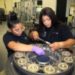 Pre-Apprenticeship Action Lab