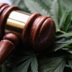 Briefing on Legal Considerations Related to State Cannabis Regulation